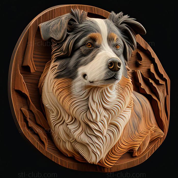 3D model st Australian Shepherd dog (STL)